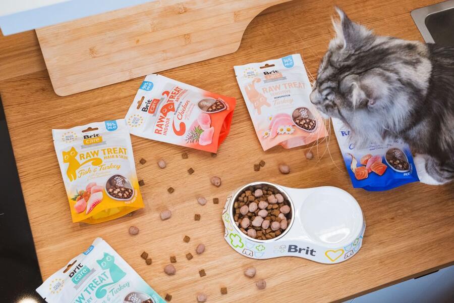 brit_raw_treat_catsjpg_hd_z4.jpg