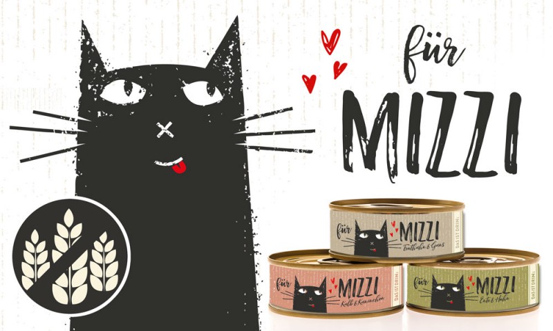 katze_fuer_mizzi_800x800.jpg