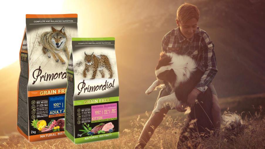 primordial-banner.jpeg