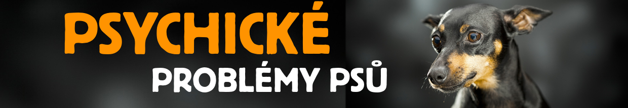 psychicke-problemy-psu.png