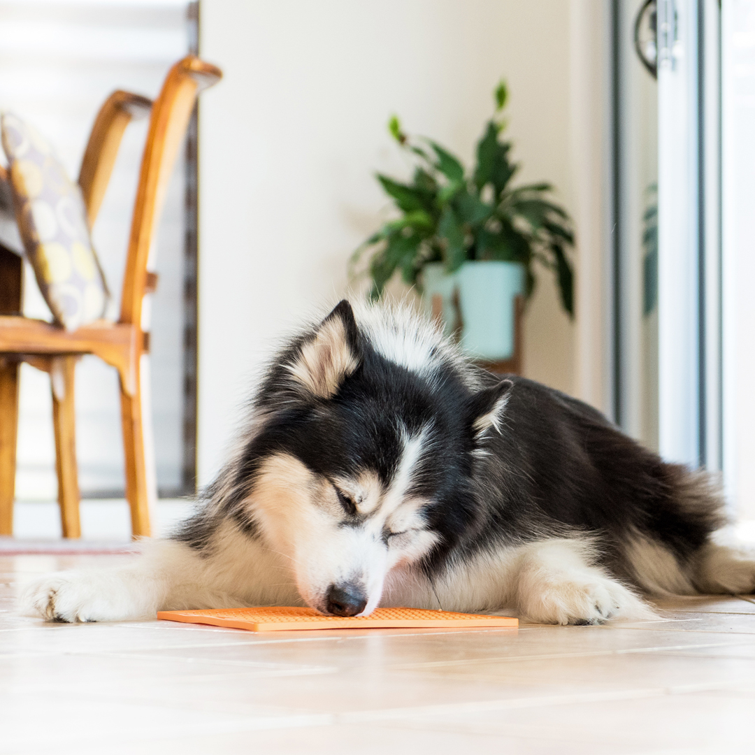 rd-lm0456_lickimat_buddy_oranzova_04.jpg