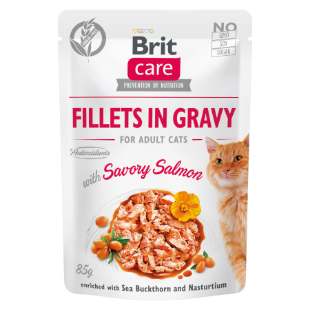 Brit Care Cat kapsička Gravy with Savory Salmon 85 g