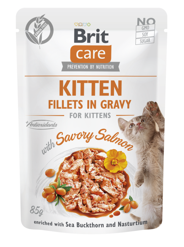 Brit Care Cat kapsička Kitten Gravy Savory Salmon 85 g