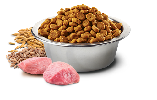 N&D LG CAT Adult Lamb & Blueberry 300g