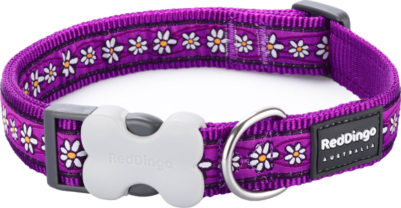 Obojek RD 12 mm x 20-32 cm - Daisy Chain Purple