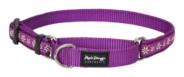 Obojek polos. RD 15 mm x 26-40 cm - Daisy Chain Purple