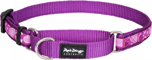 Obojek polos. RD 15 mm x 26-40 cm - Breezy Love Purple