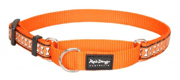 Obojek polos. RD 15 mm x 26-40 cm - Bones Rfx - oranžová