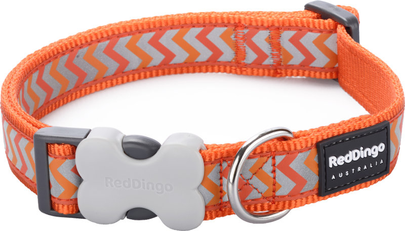 Obojek RD 12 mm x 20-32 cm - Ziggy Rfx - oranžová