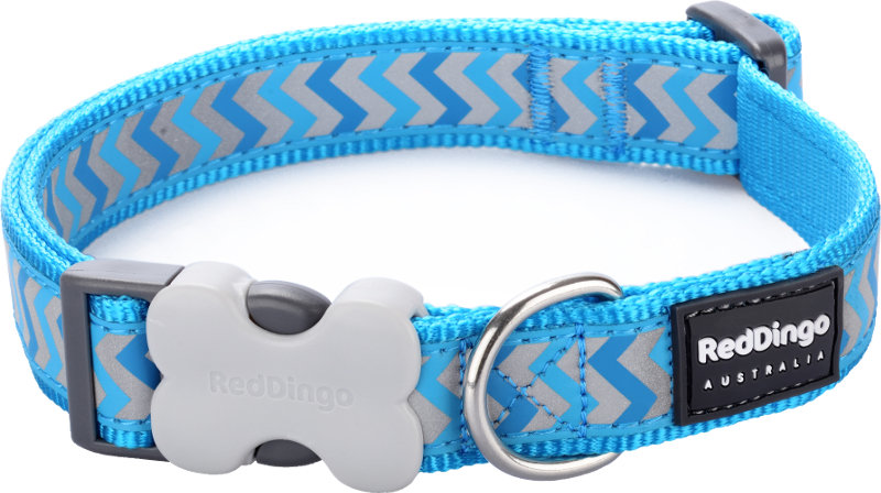 Obojek RD 12 mm x 20-32 cm - Ziggy Rfx - tyrkysová