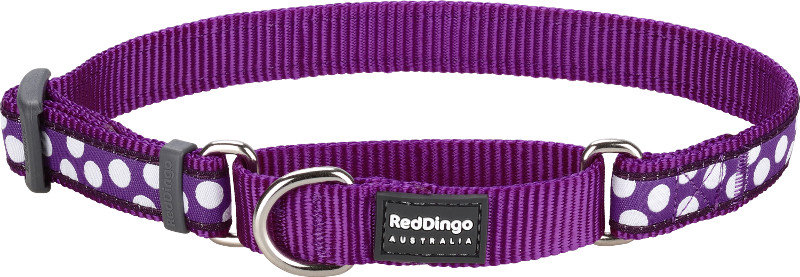 Obojek polos. RD 15 mm x 26-40 cm - White Spots on Purple