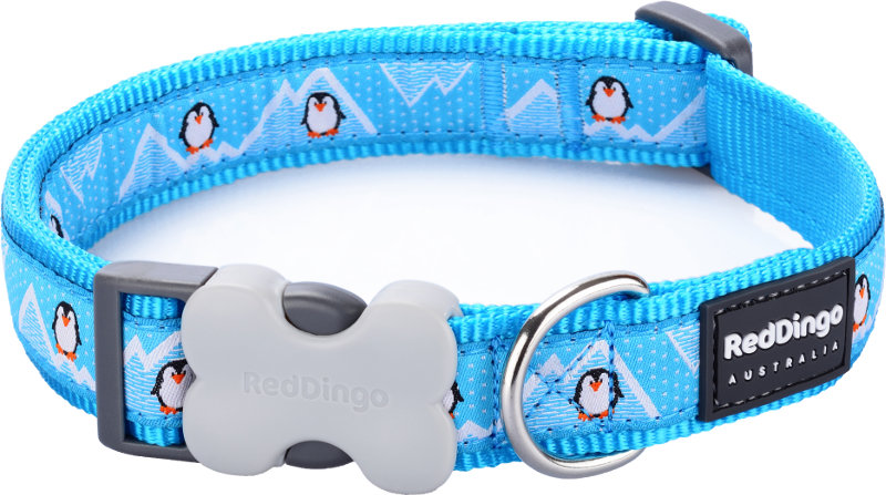 Obojek RD 12 mm x 20-32 cm - Penguin Turquoise