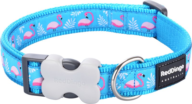 Obojek RD 12 mm x 20-32 cm - Flamingo Turquoise