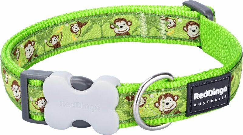 Obojek RD 12 mm x 20-32 cm - Monkey Lime Green