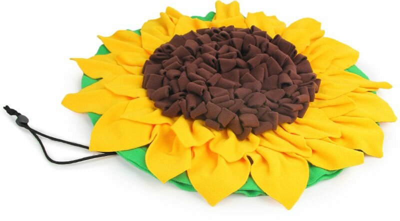 Čmuchací kobereček Slunečnice AFP Dig It