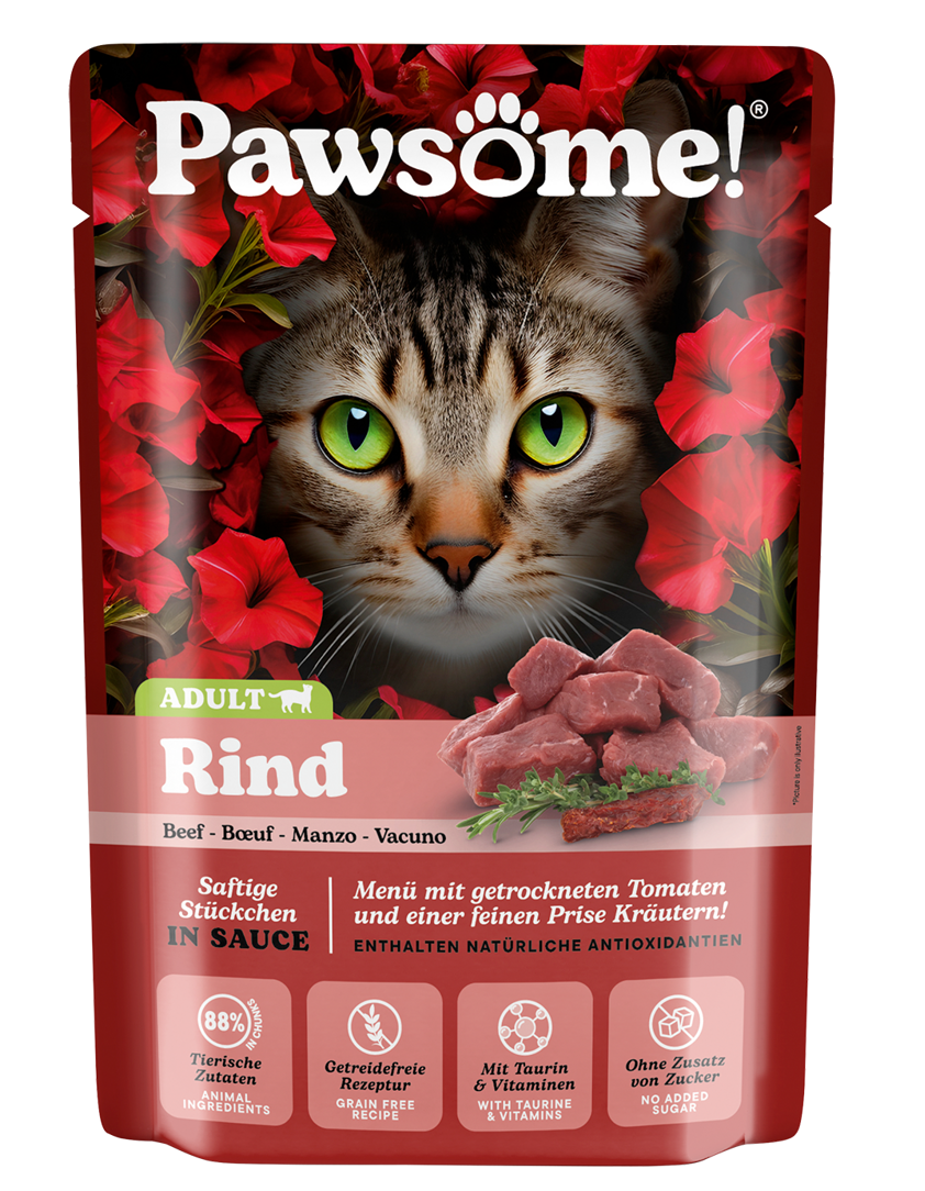 Pawsome! Adult s hovězím masem 85 g