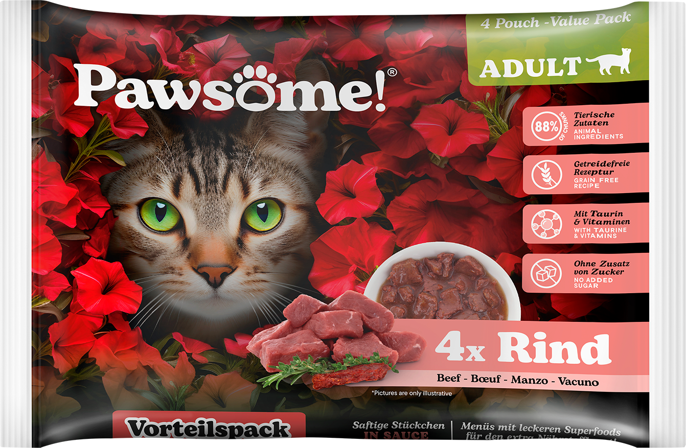 Pawsome! Adult s hovězím masem Multipack 4x85 g