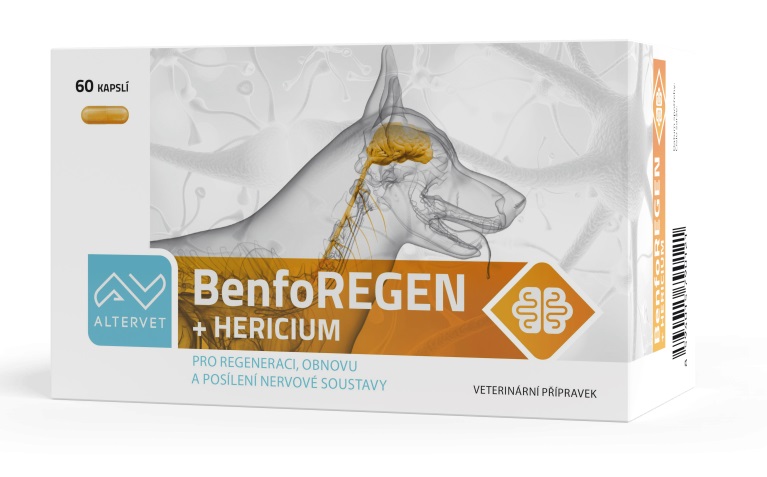 BenfoREGEN 60 kapslí