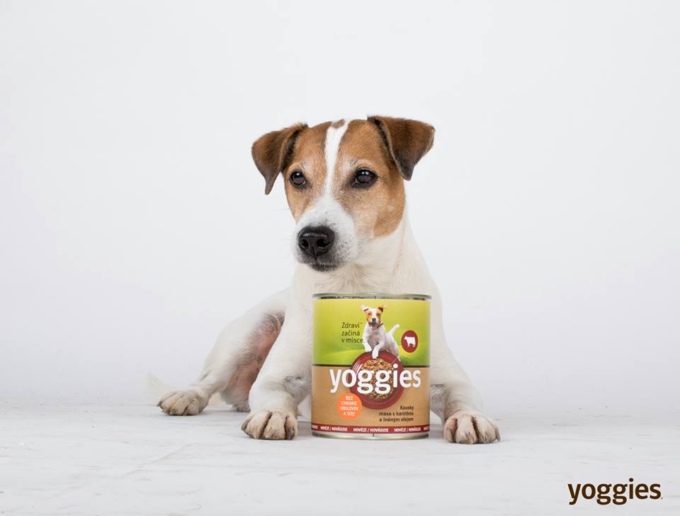 Yoggies hovězí konzerva pro psy s karotkou a lněným olejem 800g