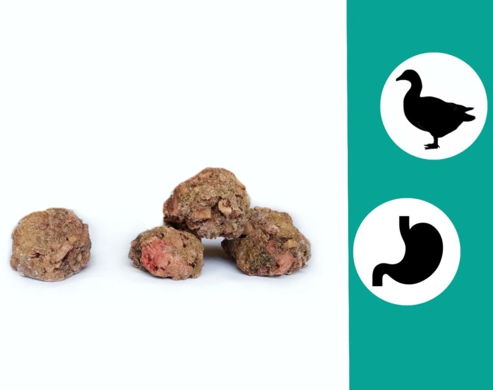 B.A.R.F. HOTOVKA – KACHNA S DRŠŤKOU 1kg