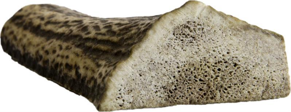 Jelení paroh dělený mini 40-60g