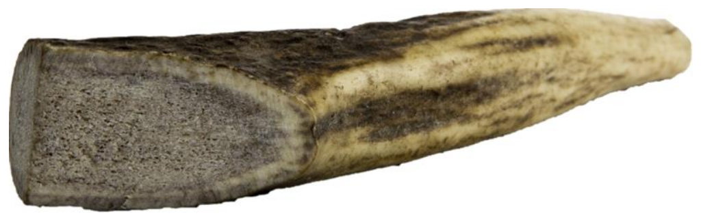 Jelení paroh mini 50-70g