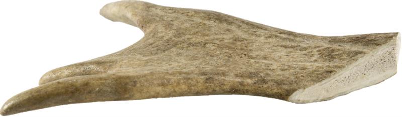 Dančí paroh midi 80-100g