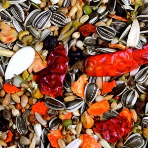 JR Birds Žako Premium 950 g