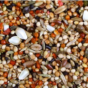 JR Birds Agapornis Premium 1 kg