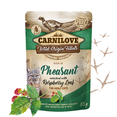 Carnilove Cat Pouch Pheasant & Raspberry Leaves 85g
