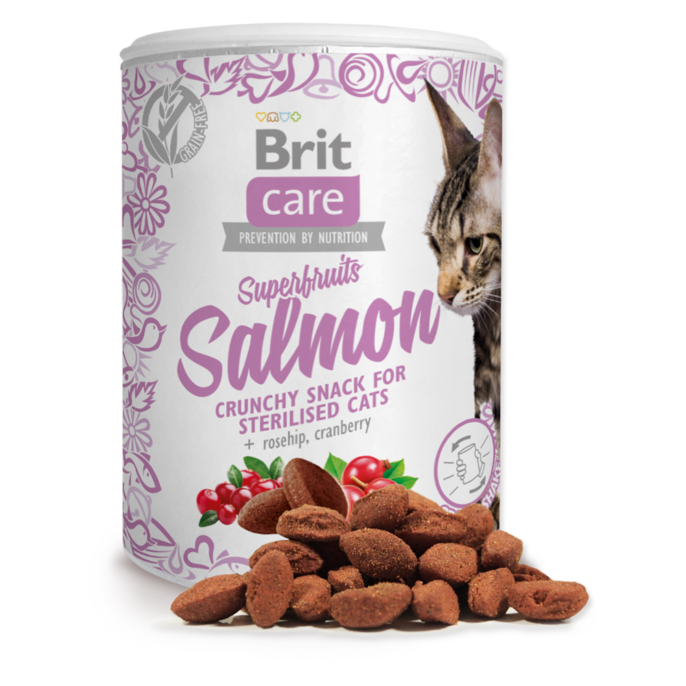 Brit Care Cat Snack Superfruits Salmon 100g