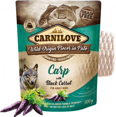 Carnilove Dog Pouch Paté Carp & Black Carrot 300g