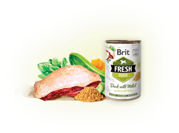 BRIT Fresh can Duck with Millet 400g
