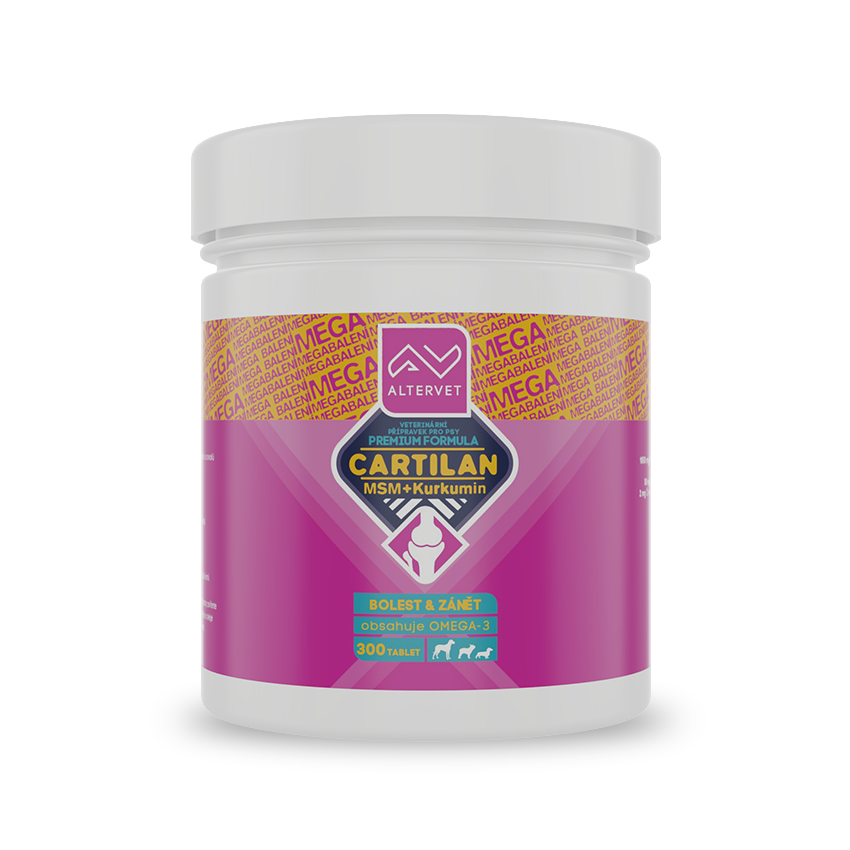 AV CARTILAN MSM+Kurkumin MEGA 300 tablet