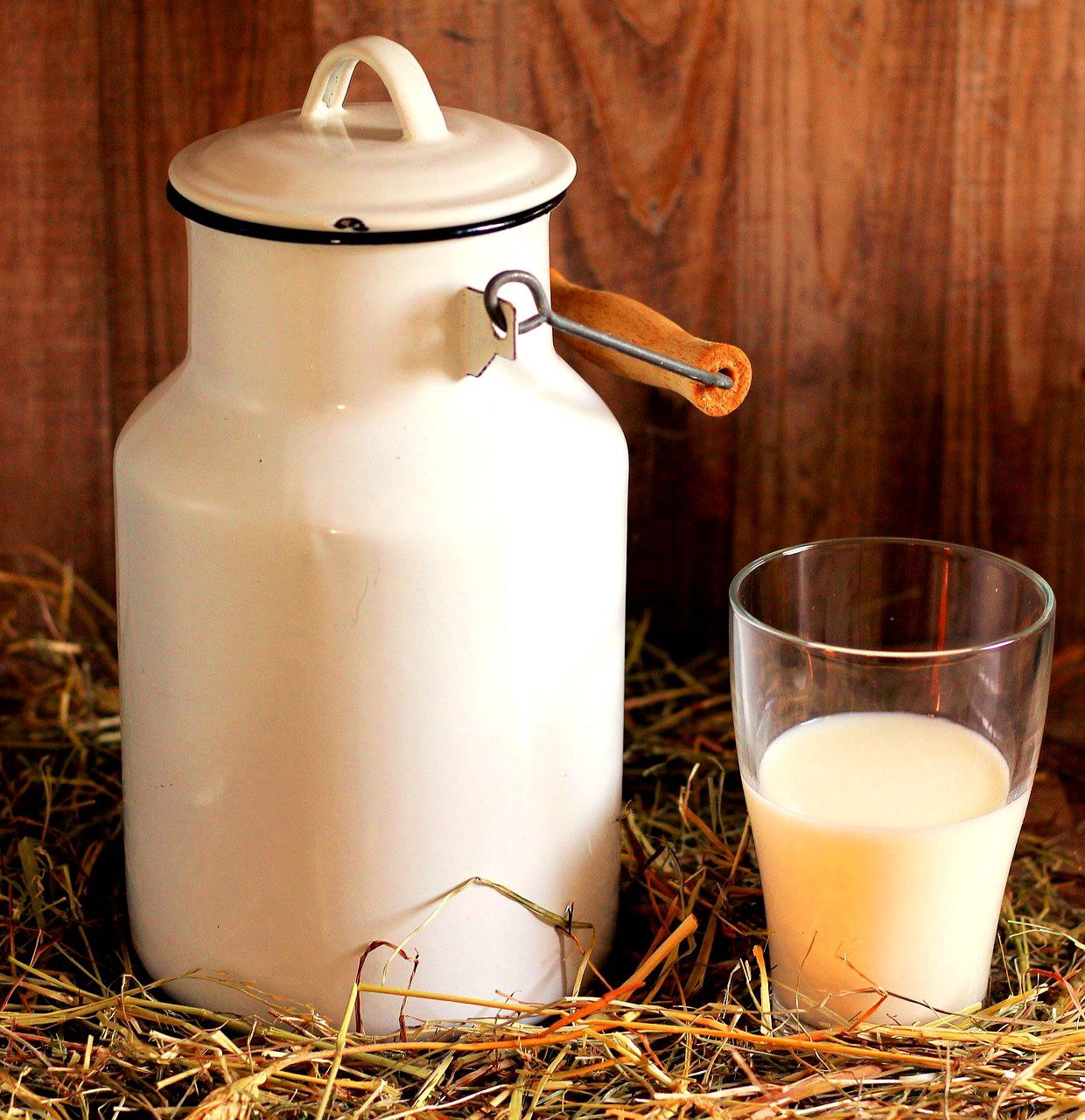 Kozí syrovátka 0,5l