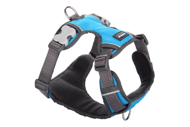 Postroj RD polstrovaný XL - 72-112 cm - Tyrkysová