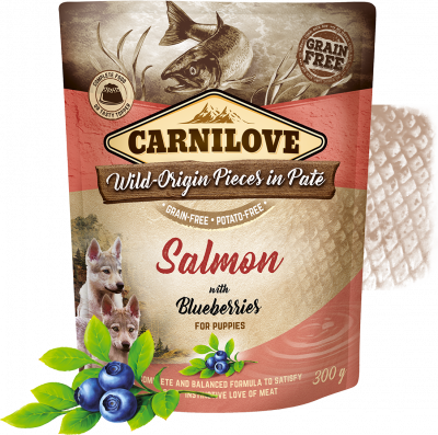 Carnilove Dog Pouch Paté Salmon & Blueber Puppies 300g
