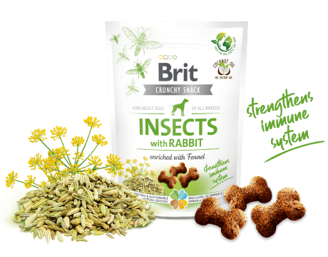 Brit Care Crunchy Cracker. Insects with Rabbit enriched with Fennel