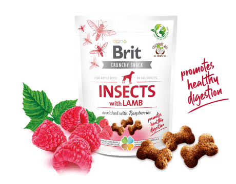 Brit Care Crunchy Cracker. Insects with Lamb enriched with Raspberries