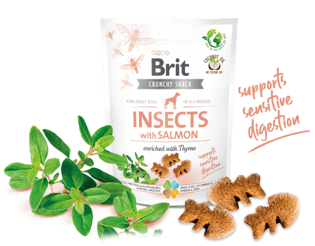 Brit Care Crunchy Cracker. Insects with Salmon enriched with Thyme 200g