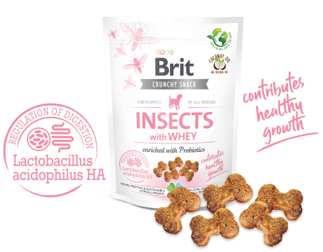 Brit Care Dog Crunchy Cracker. Insects with Whey enriched with Probiotics
