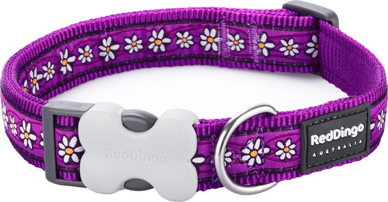 Obojek RD 12 mm x 20-32 cm - Daisy Chain Purple