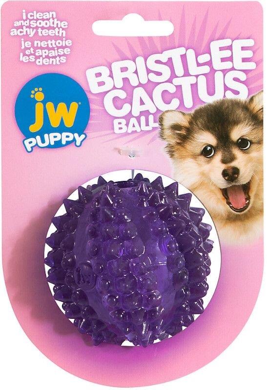 JW Bristl-ee Cactus Ball