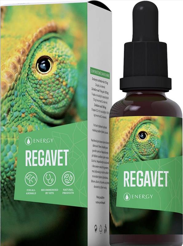 Regavet