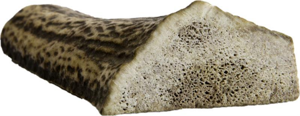 Jelení paroh dělený maxi 70-90g