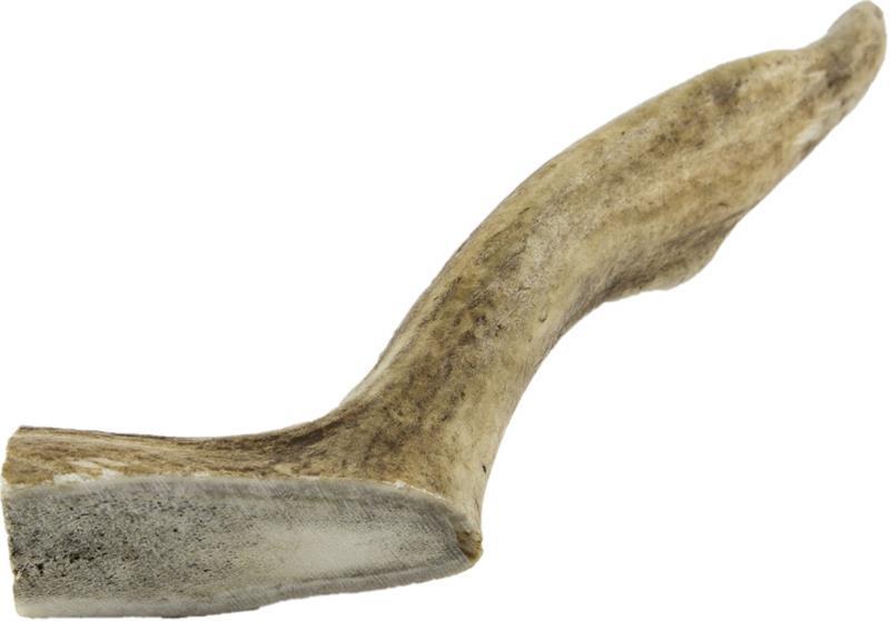 Dančí paroh mini 50-70g