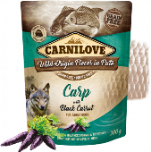 Carnilove Dog Pouch Paté Carp & Black Carrot 300g
