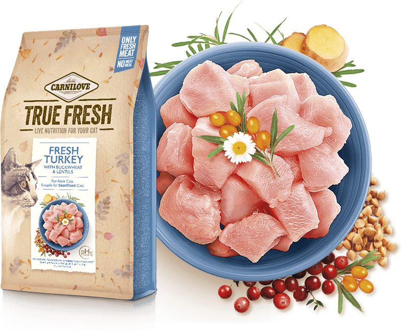 Carnilove Cat True Fresh Turkey 340g