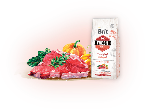 Brit Fresh Beef with Pumpkin Puppy Large Bones & Joints 12kg