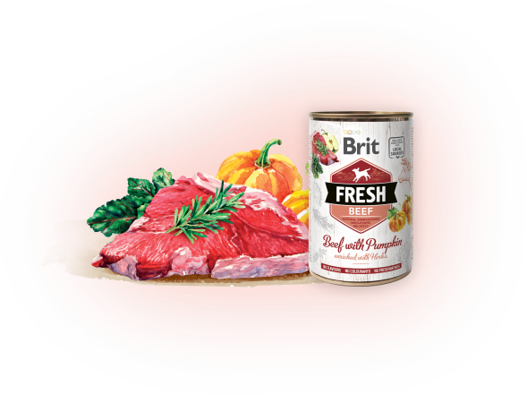 Brit Fresh can Beef with Pumpkin 400 g